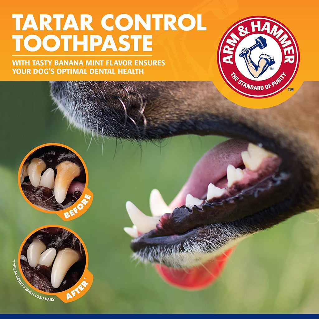 for Pets Tartar Control Dog Dental Care Kit, Dog Toothpaste Kit with Toothbrush and Finger Brush for Oral Hygiene and Fresh Breath Care, Banana Mint Flavor, 2.5 Oz, 3-Piece Kit