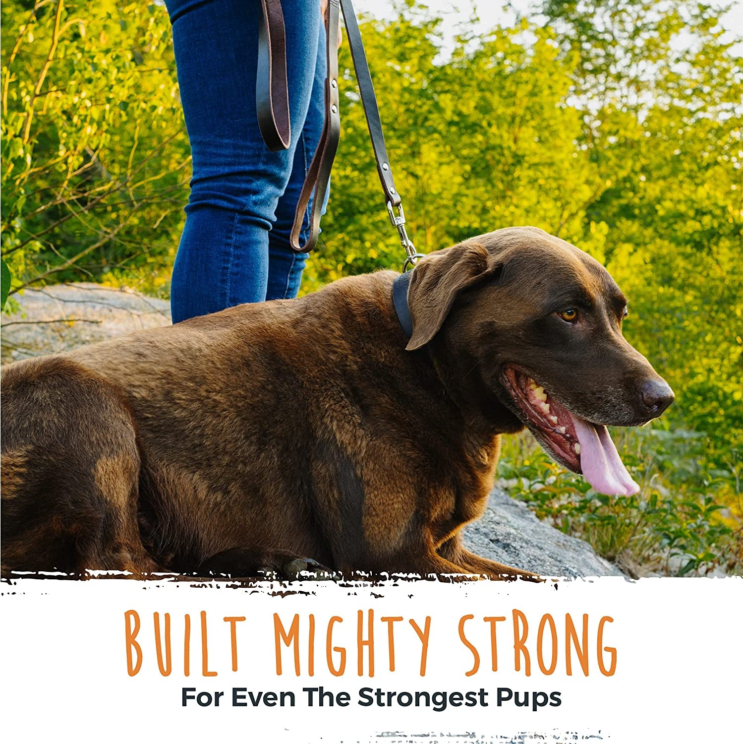 Premium Distressed Leather Dog Leash - Heavy Duty, Stylish and Comfortable for All Breeds - Perfect for Your Furry Friend